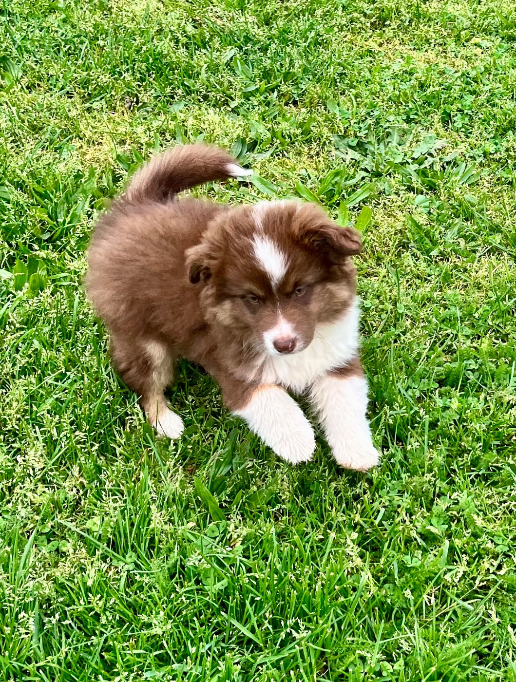 bayka des Jardins de Becky
